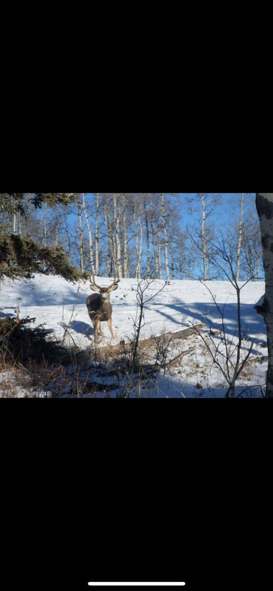 Heart West Haven Villa Priddis Exterior foto